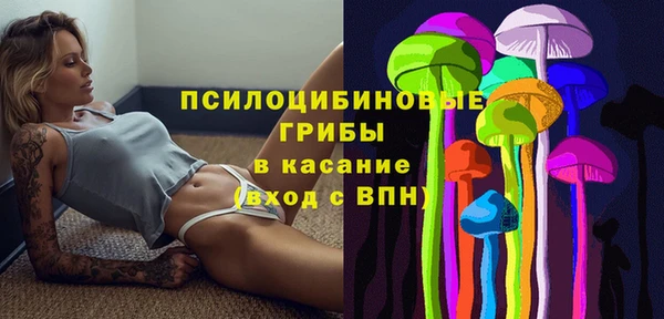 бошки Алексин