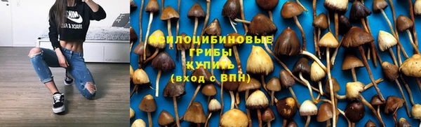бошки Алексин