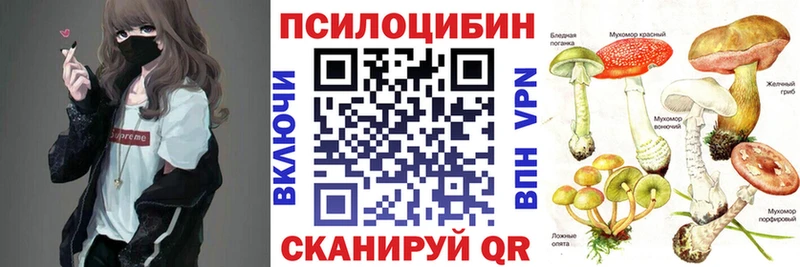 Псилоцибиновые грибы прущие грибы Дудинка